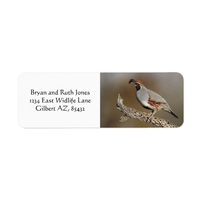 Gambel's Quail Return Address Label (Front)