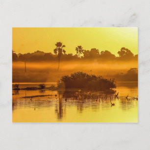 Gambia Sunrise Postcard