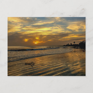 Gambia Sunset Postcard