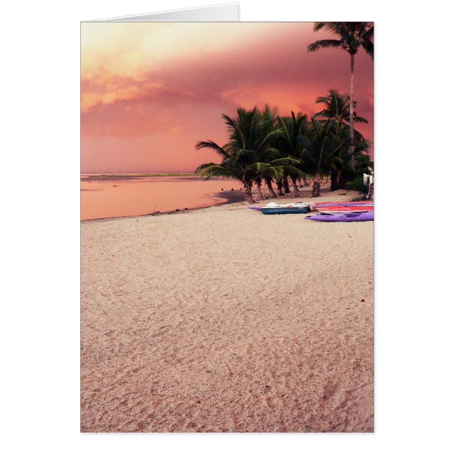 gambian sunset (Front)