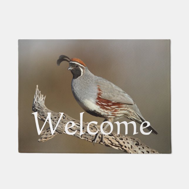 Gamble's Quail Doormat (Front)