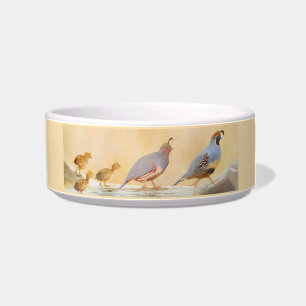 Gambrel's Quail Painting Original Bird Art Bowl