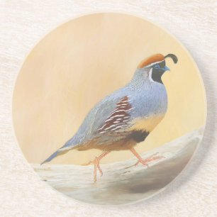 Gambrel's Quail Painting Original Bird Art Coaster