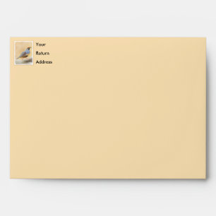 Gambrel's Quail Painting Original Bird Art Envelope