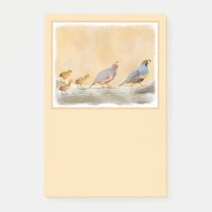 Gambrel's Quail Painting Original Bird Art Post-it Notes