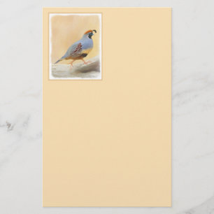 Gambrel's Quail Painting Original Bird Art Stationery