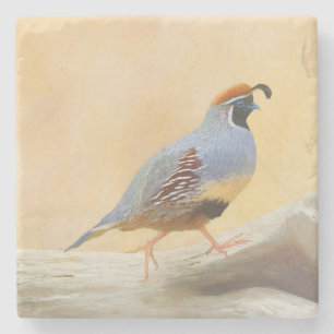 Gambrel's Quail Painting Original Bird Art Stone Coaster