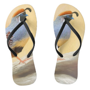 Gambrel's Quail Painting Original Bird Art Thongs