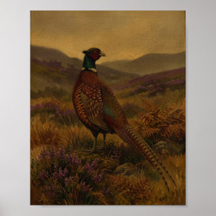Game Bird Pheasant II Vintage Painting Poster