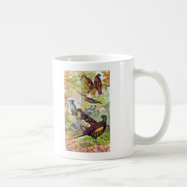 Game Birds 1902 True Stone Chromolithograph Coffee Mug (Right)