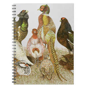 Game Birds Notebook