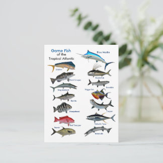 Game Fish of the Tropical Atlantic Postcard