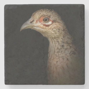 Game Girl Stone Coaster