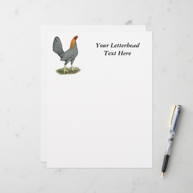 Game Hen Blue Red (Front/Back In Situ)