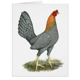 Game Hen Blue Red