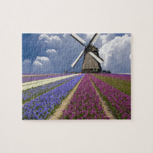 Game Puzzle-Field of Hyacinths Jigsaw Puzzle