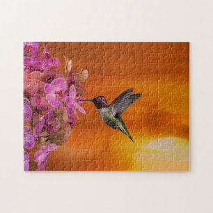 Game Puzzle Hummingbird