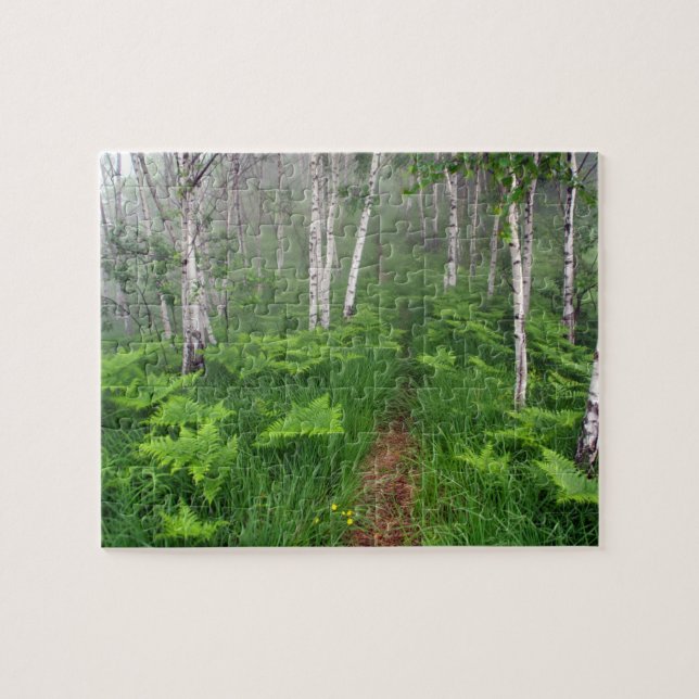 Game Puzzle-Lush Green Forest Jigsaw Puzzle (Horizontal)
