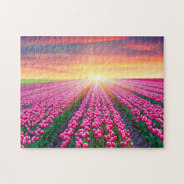 Game Puzzle-Tulip Field Jigsaw Puzzle (Horizontal)