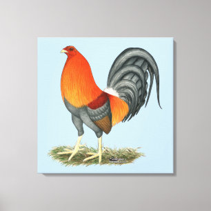 Gamecock Blue Red Rooster Canvas Print