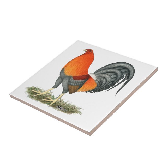 Gamecock Blue Red Rooster Ceramic Tile (Side)