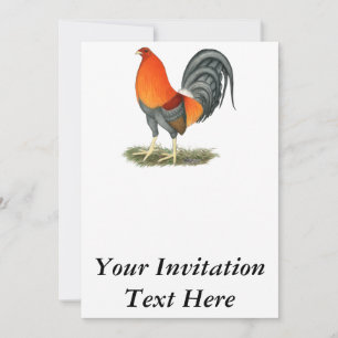 Gamecock Blue Red Rooster Invitation