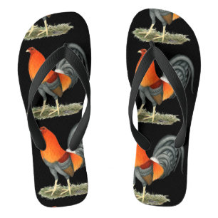Gamecock Blue Red Rooster Thongs