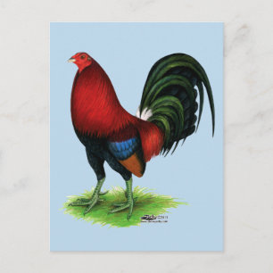 Gamecock:  Dark Red Postcard