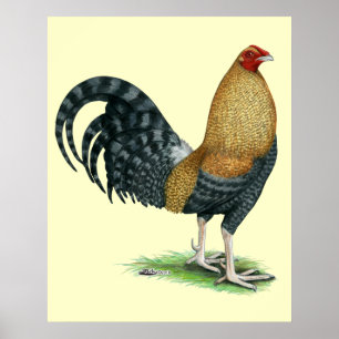 Gamecock:  Dom or Crele Poster