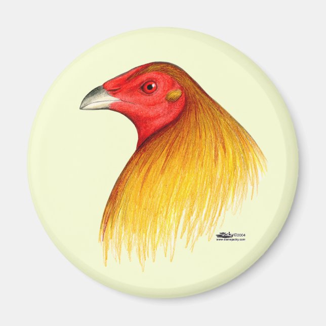 Gamecock Dubbed Magnet (Front)
