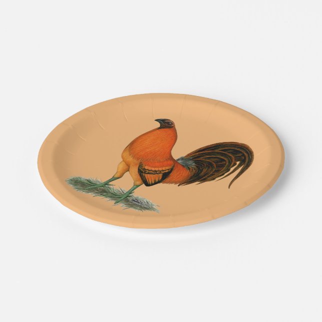 Gamecock Ginger Red Rooster Paper Plate (Angled)