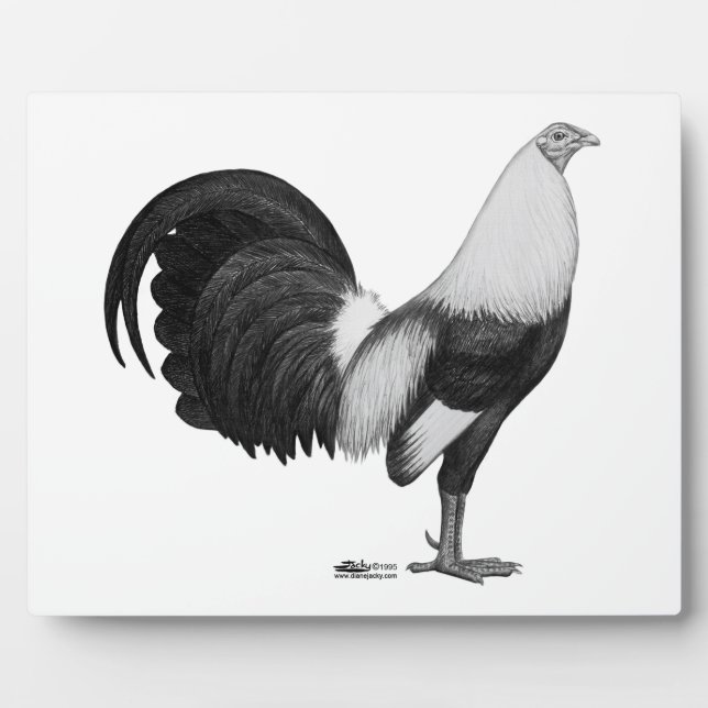 Gamecock Gray Duckwing Plaque (Front)