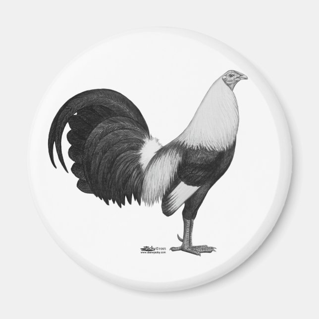 Gamecock Grey Duckwing Magnet (Front)