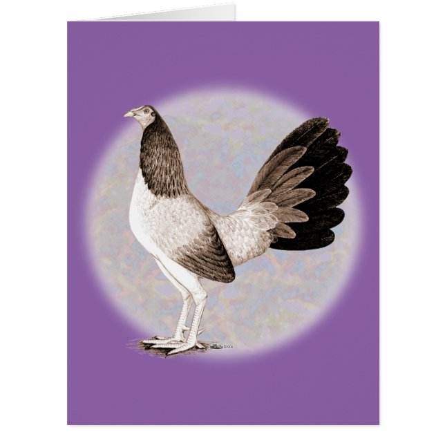 Gamecock:  Hennie (Front)