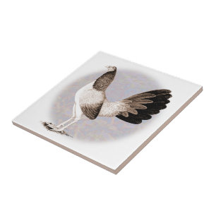 Gamecock:  Hennie Ceramic Tile