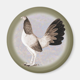 Gamecock:  Hennie Magnet