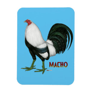 Gamecock Macho Duckwing Magnet