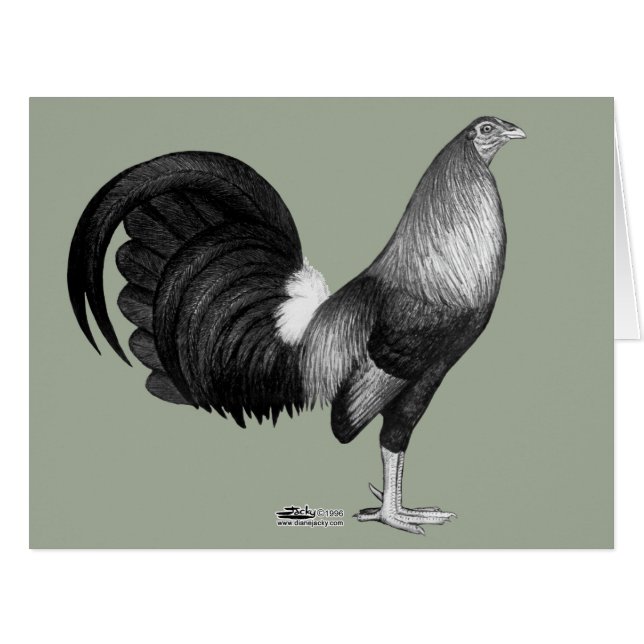 Gamecock Red Hatch (Front Horizontal)