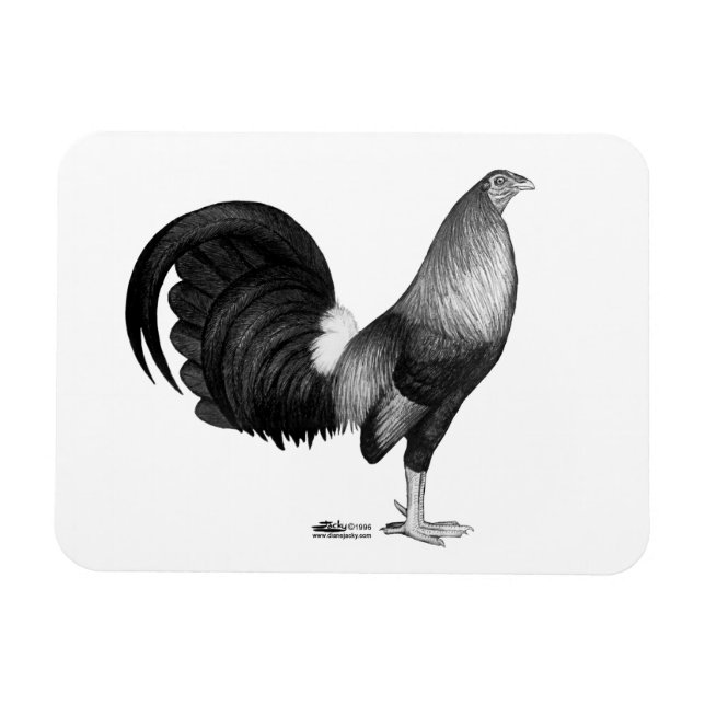 Gamecock Red Hatch Magnet (Horizontal)