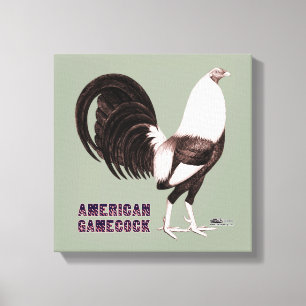 Gamecock Sepia Canvas Print