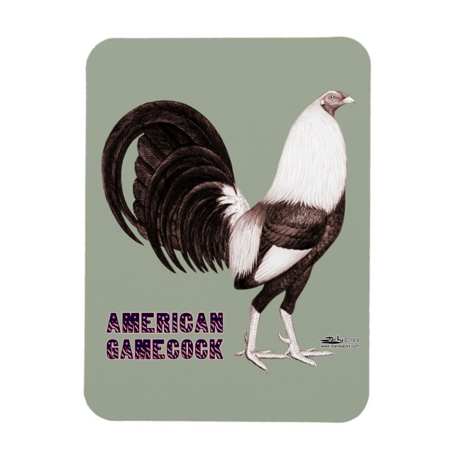 Gamecock Sepia Magnet (Vertical)