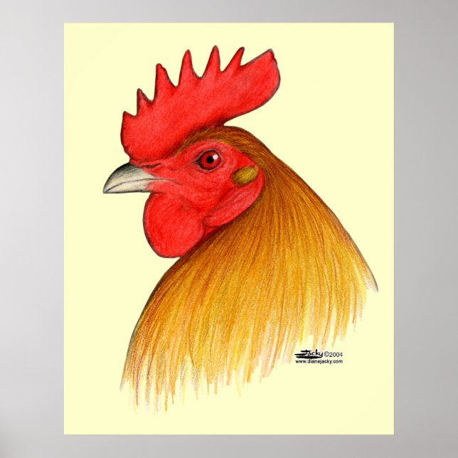 Gamecock Stag Single Comb Poster (Front)