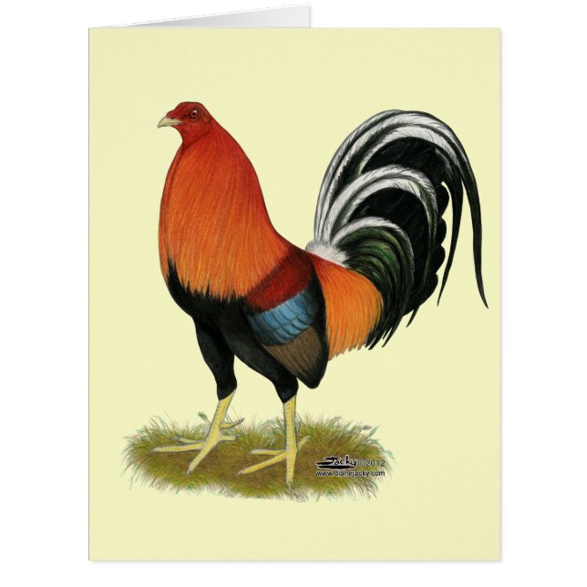 Gamecock Wheaten Rooster (Front)