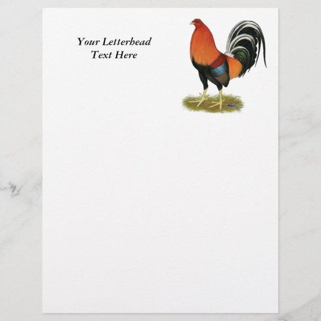 Gamecock Wheaten Rooster (Front)