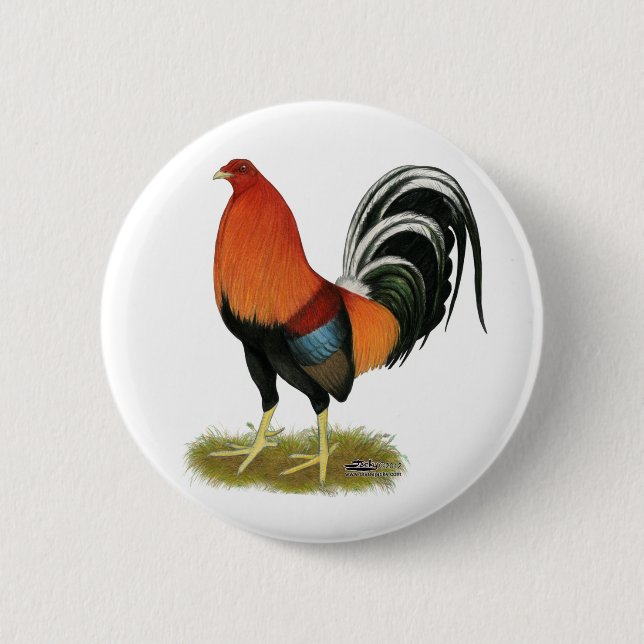 Gamecock Wheaten Rooster 6 Cm Round Badge (Front)
