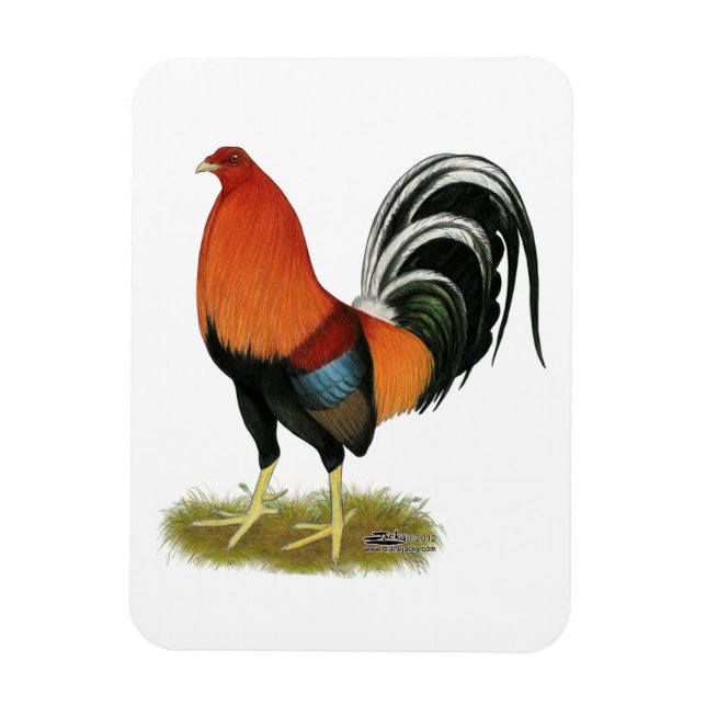 Gamecock Wheaten Rooster Magnet (Vertical)