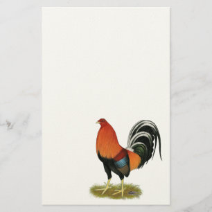 Gamecock Wheaten Rooster Stationery