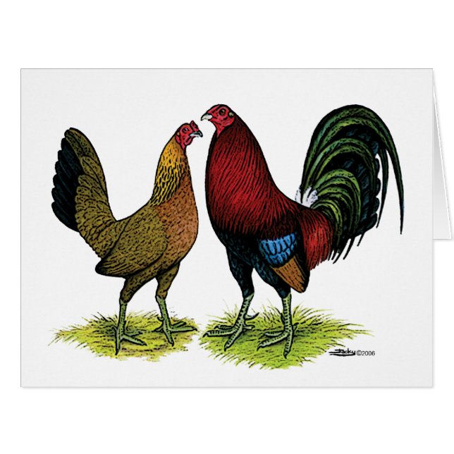 Gamefowl Pair (Front Horizontal)