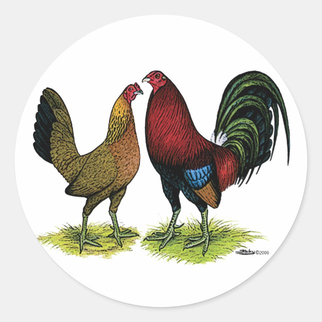 Gamefowl Pair Classic Round Sticker (Front)