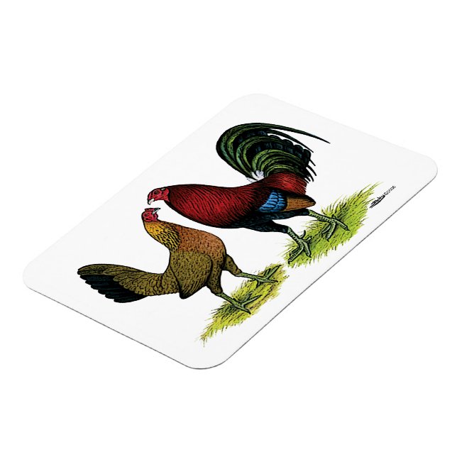 Gamefowl Pair Magnet (Left Side)